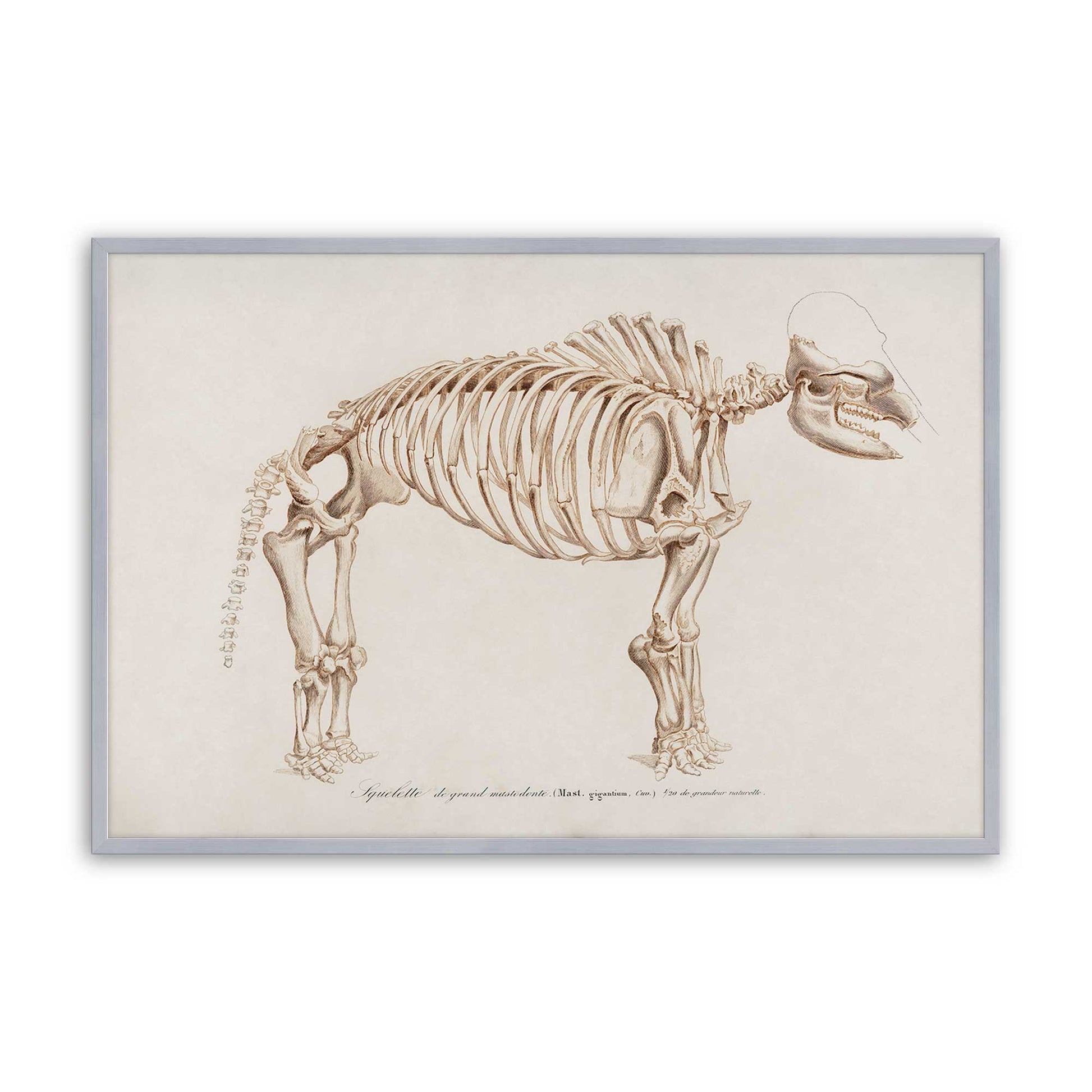 [Color:Polished Chrome], Picture of art in a Polished Chrome frame