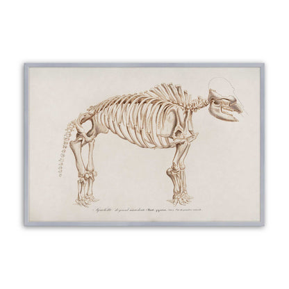 [Color:Polished Chrome], Picture of art in a Polished Chrome frame