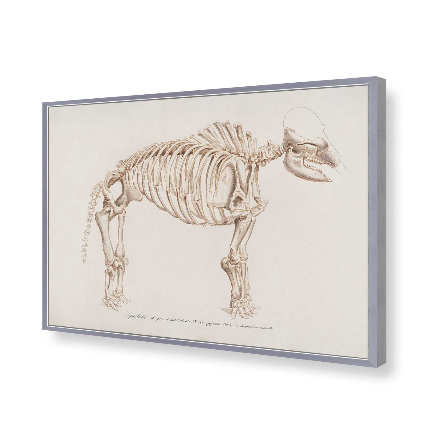 [Color:Polished Chrome], Picture of art in a Polished Chrome frame of the corner