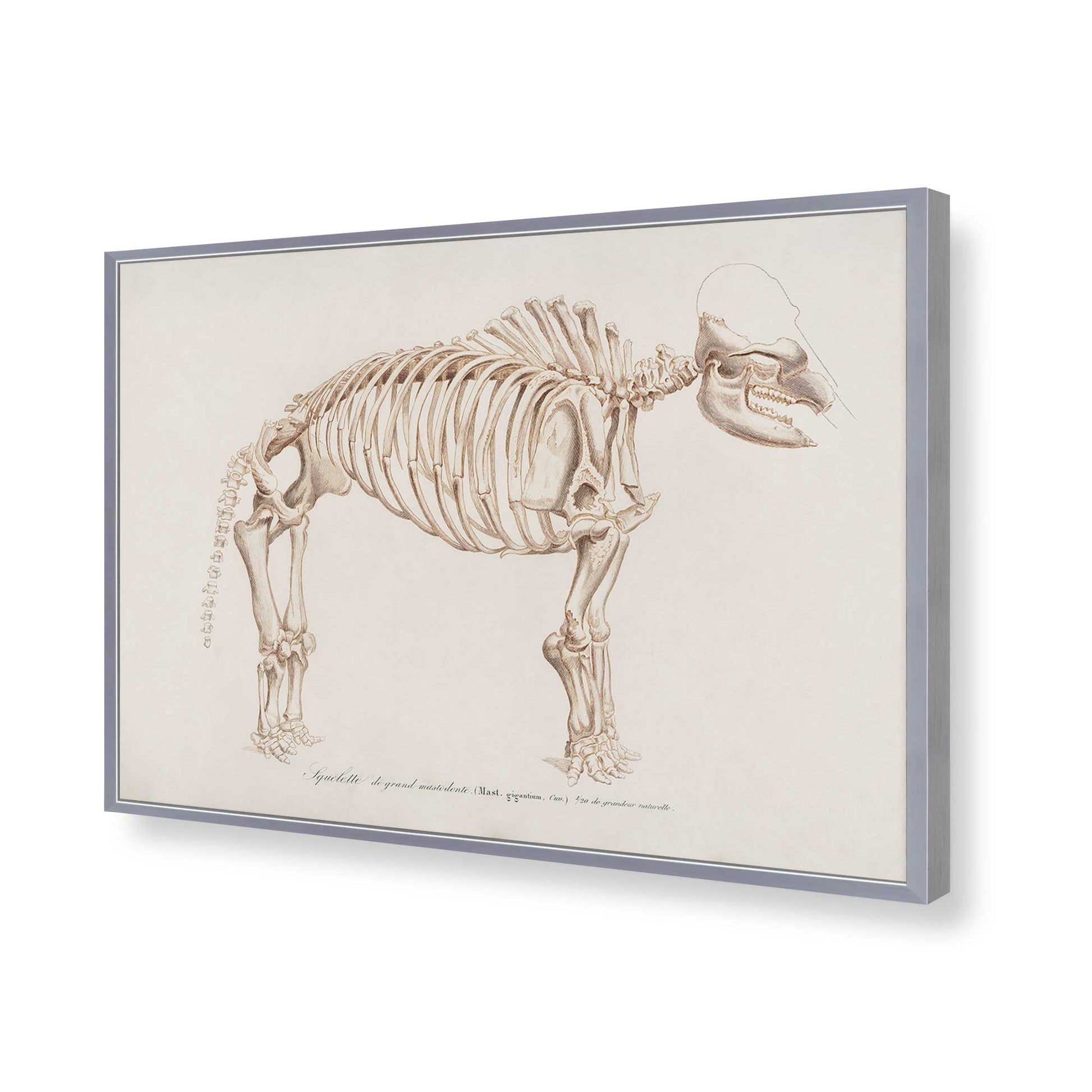 [Color:Polished Chrome], Picture of art in a Polished Chrome frame of the corner