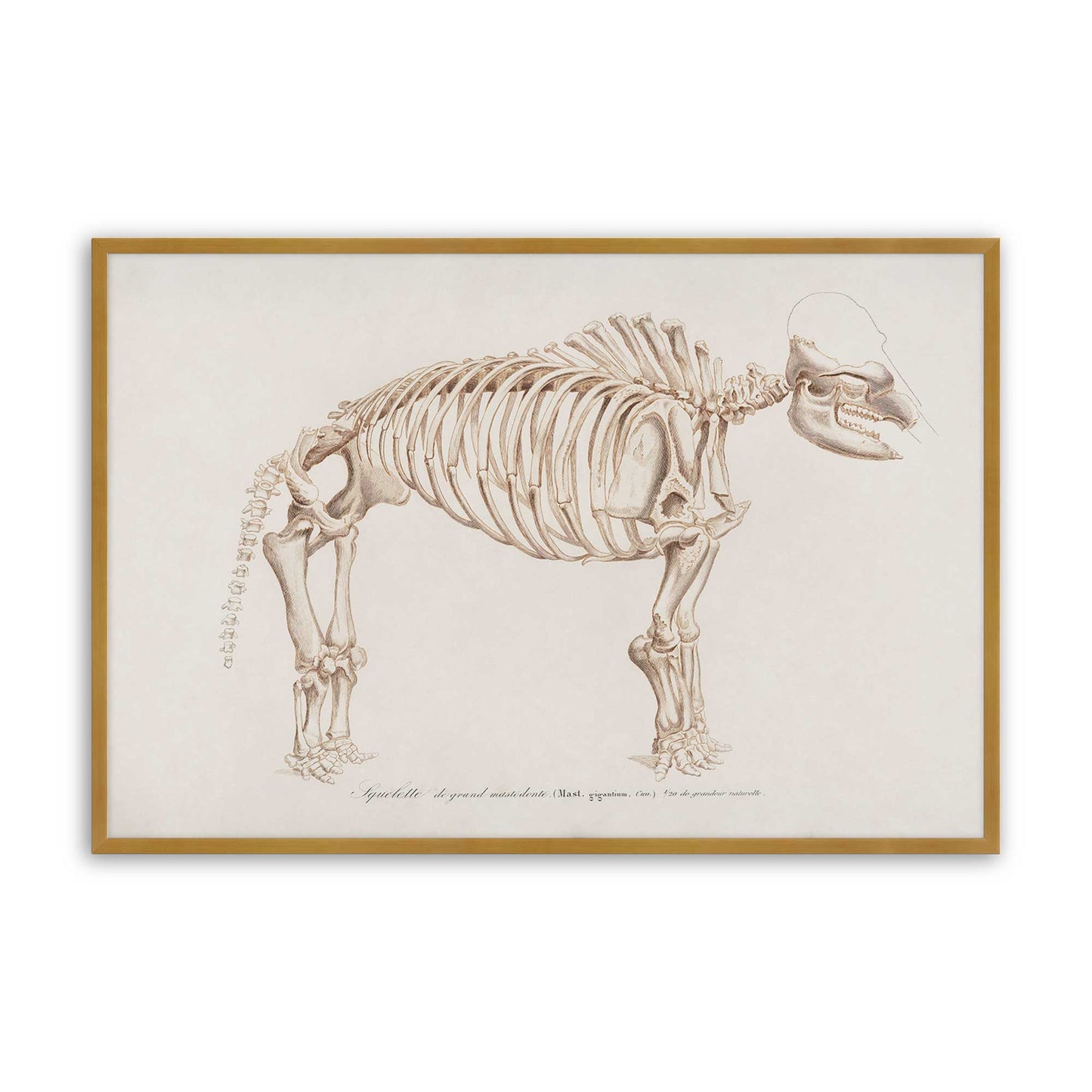 [Color:Polished Gold], Picture of art in a Polished Gold frame