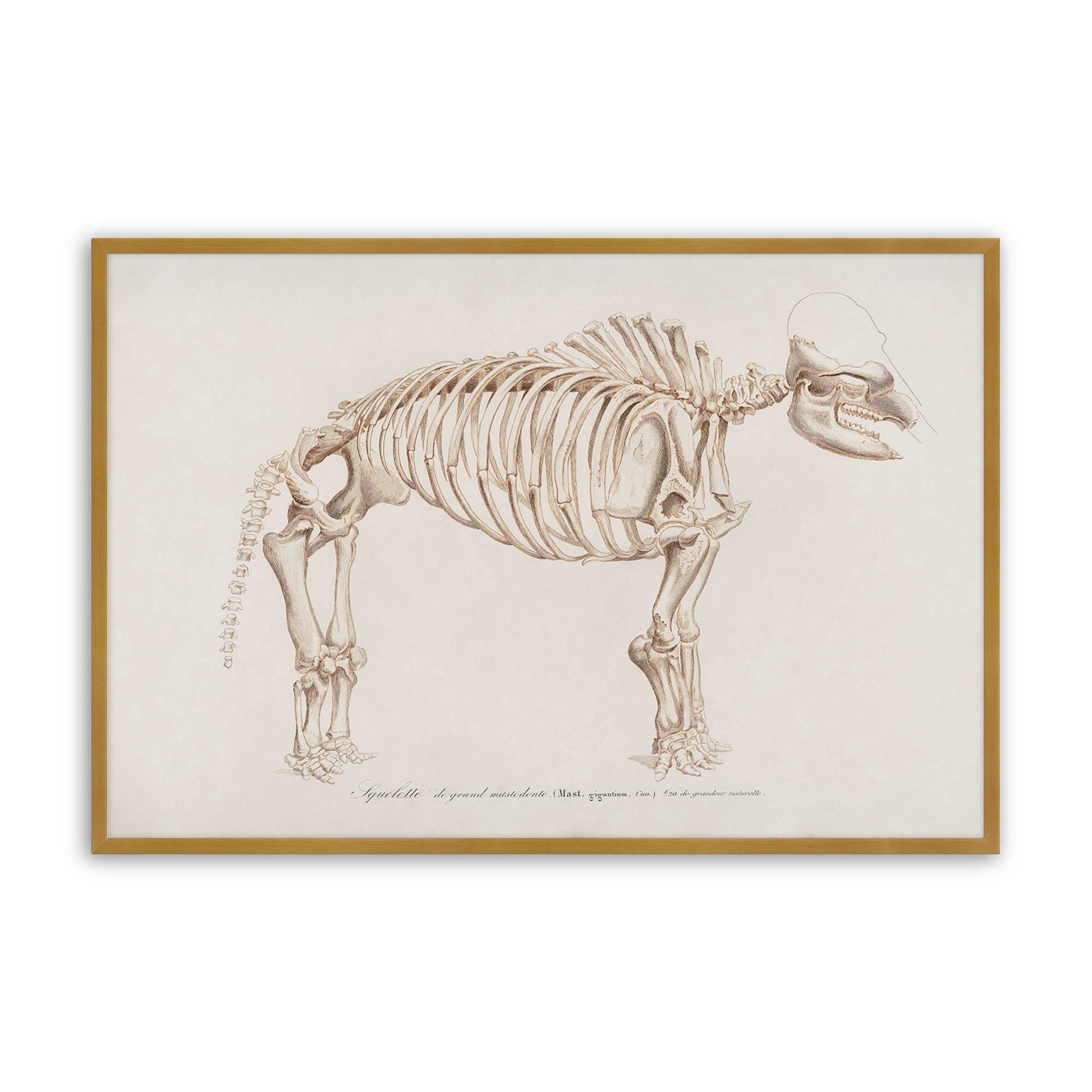 [Color:Polished Gold], Picture of art in a Polished Gold frame