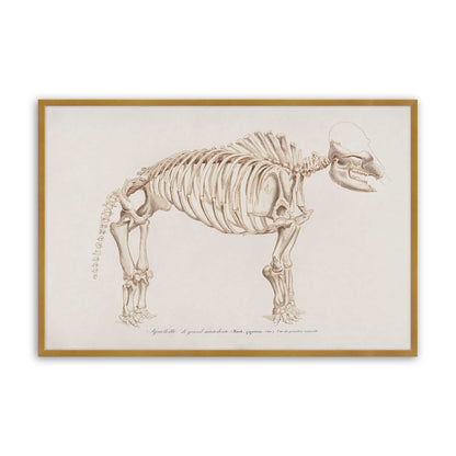 [Color:Polished Gold], Picture of art in a Polished Gold frame