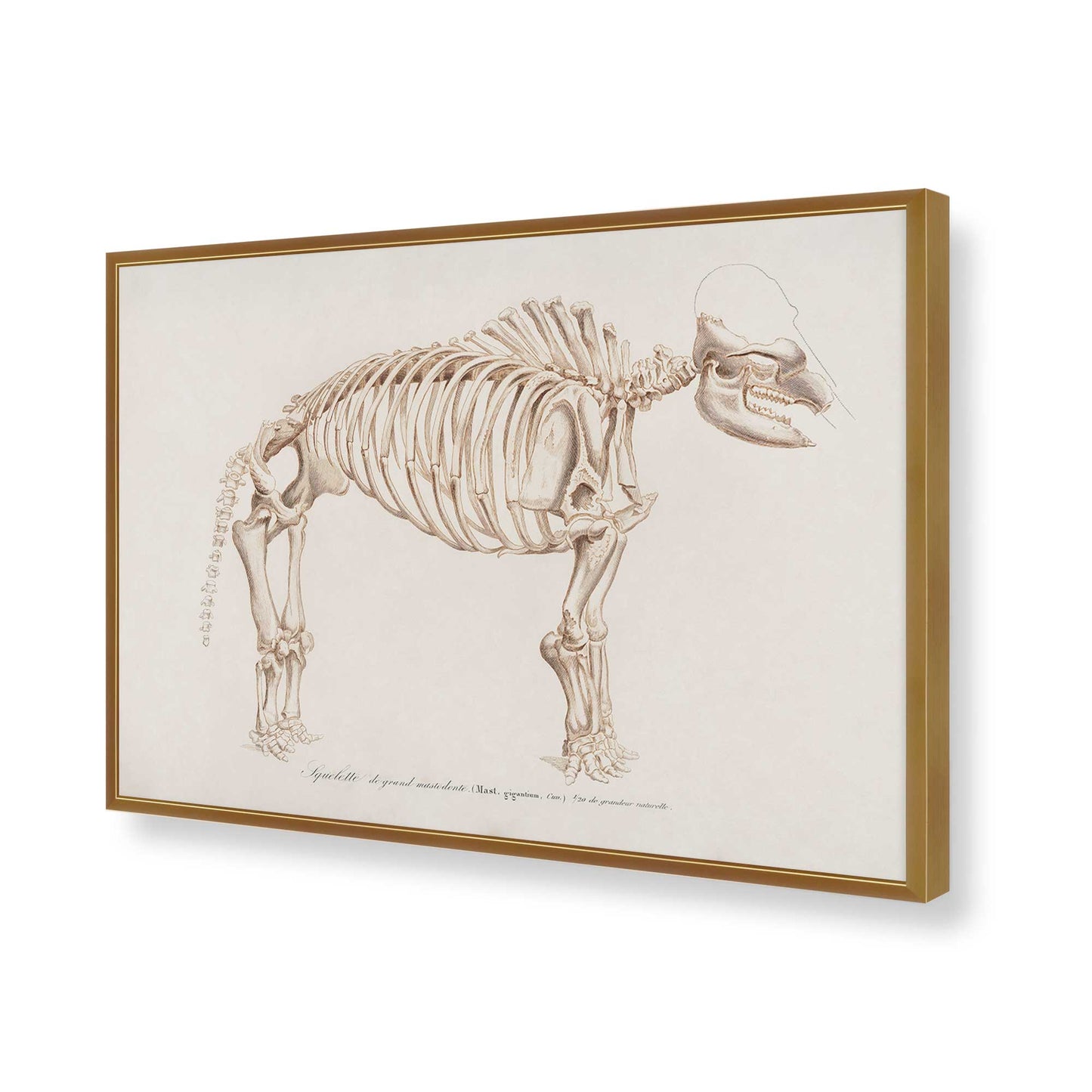 [Color:Polished Gold], Picture of art in a Polished Gold frame of the corner