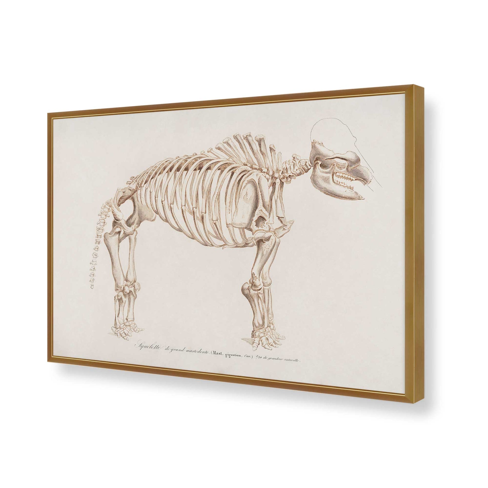 [Color:Polished Gold], Picture of art in a Polished Gold frame of the corner