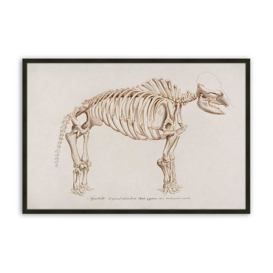 [Color:Satin Black], Front of the art