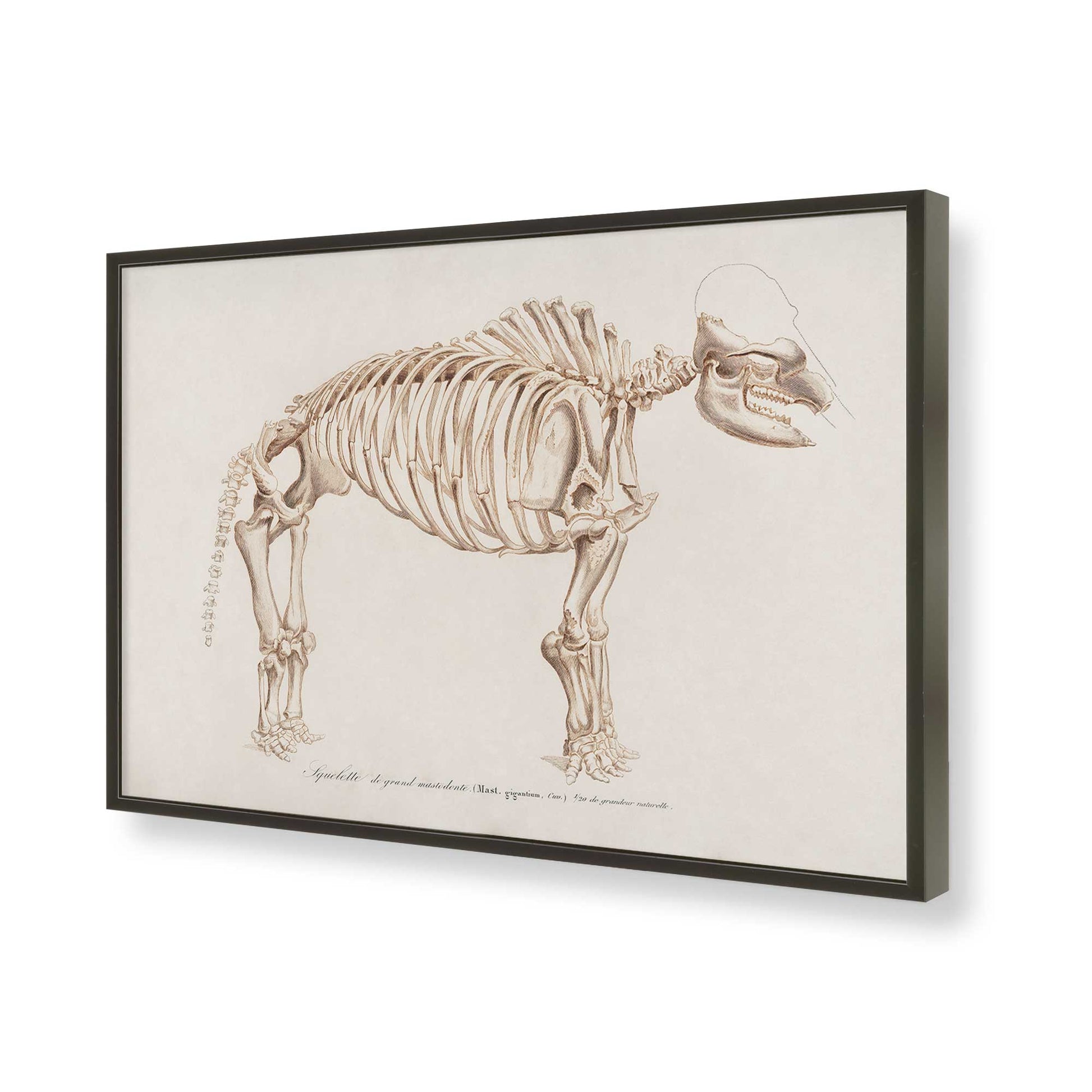 [Color:Satin Black], Picture of art in a Satin Black frame of the corner