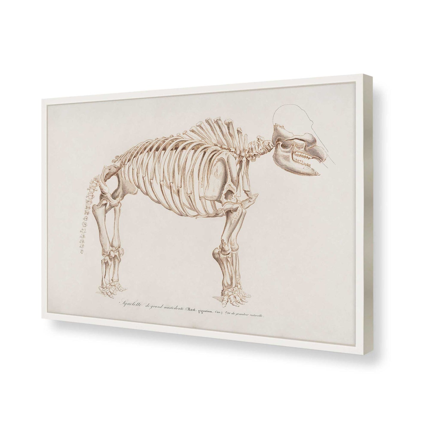 [Color:Opaque White], Picture of art in a Opaque White frame of the corner