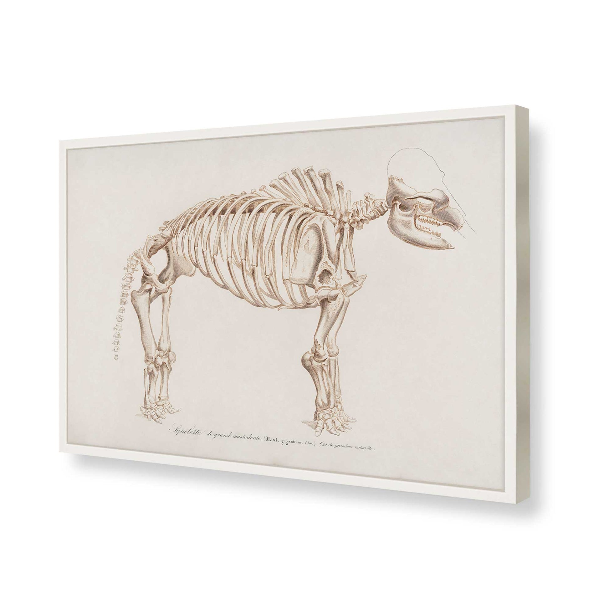 [Color:Opaque White], Picture of art in a Opaque White frame of the corner