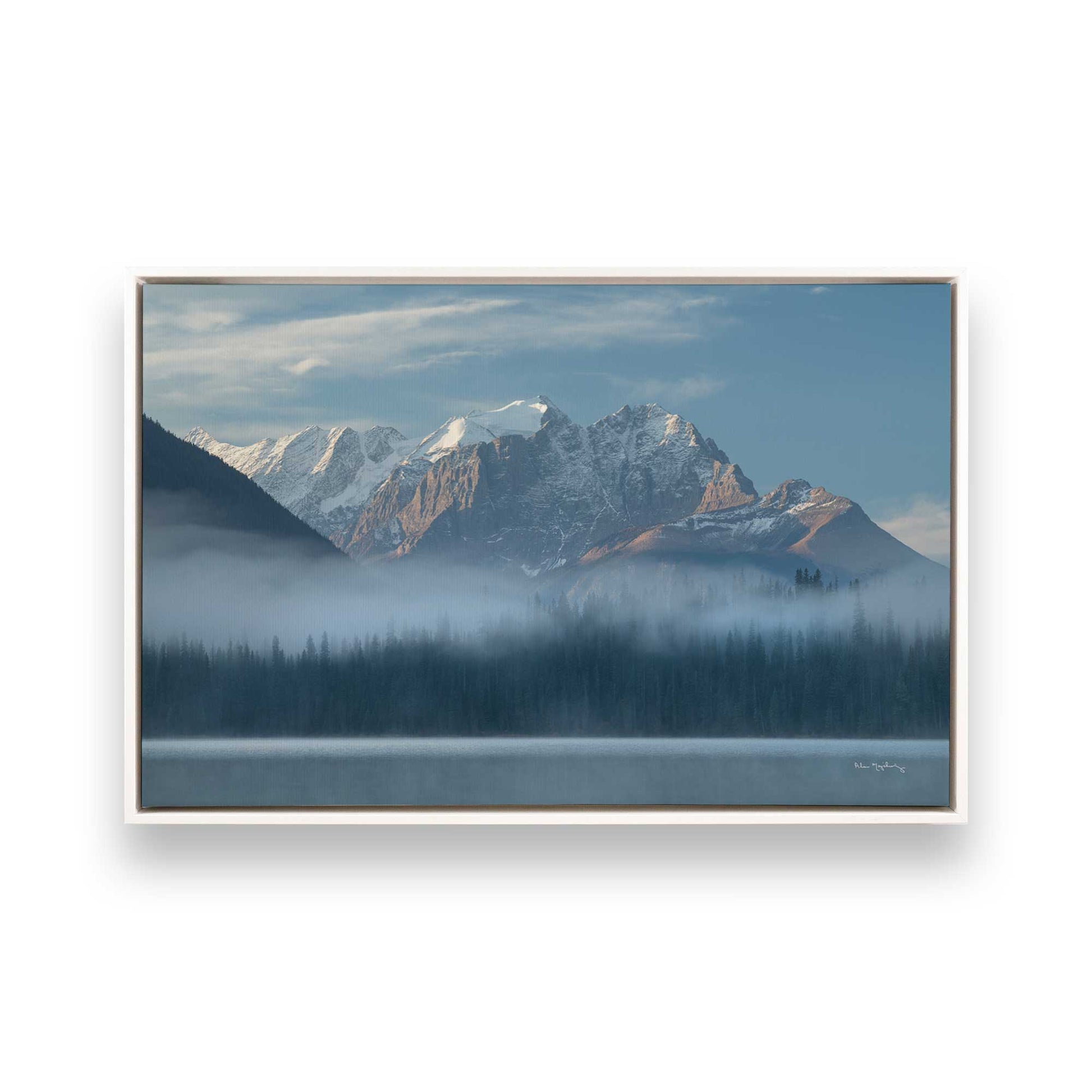 [Color:Opaque White], Picture of art in a White frame
