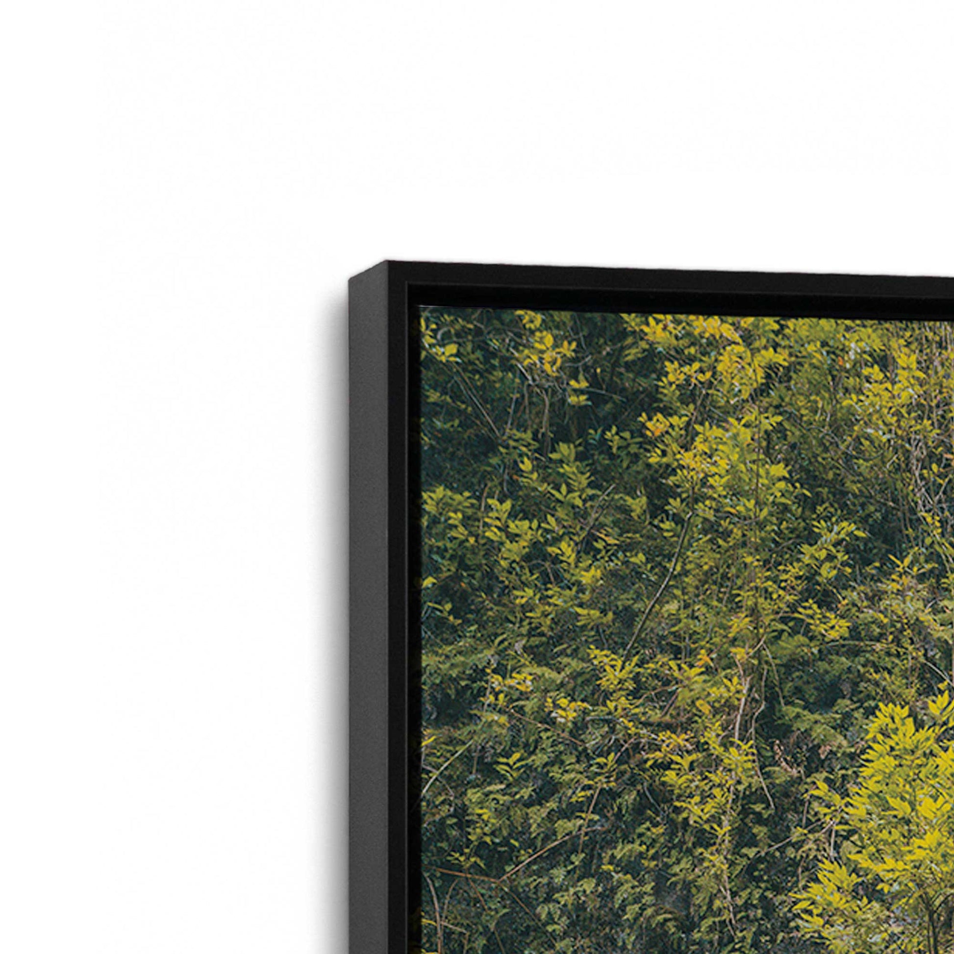 [Color:Satin Black], Picture of art in a Satin Black frame at an angle