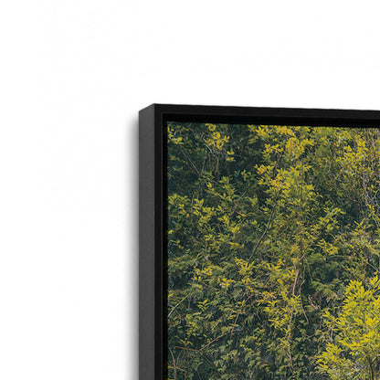 [Color:Satin Black], Picture of art in a Satin Black frame at an angle
