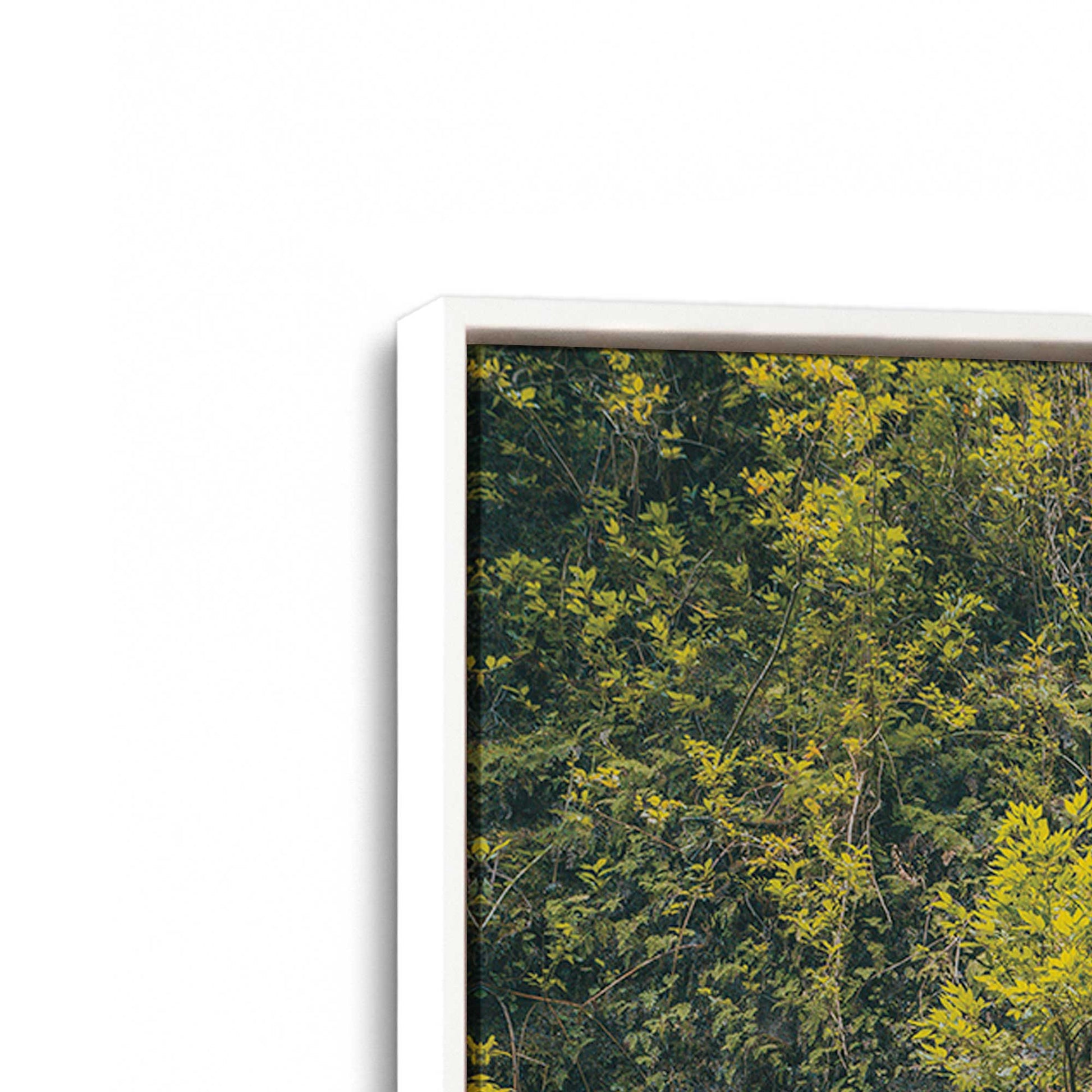 [Color:Opaque White], Picture of art in a White frame at an angle