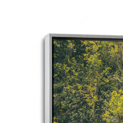 [Color:Polished Chrome], Picture of art in a Polished Chrome frame at an angle