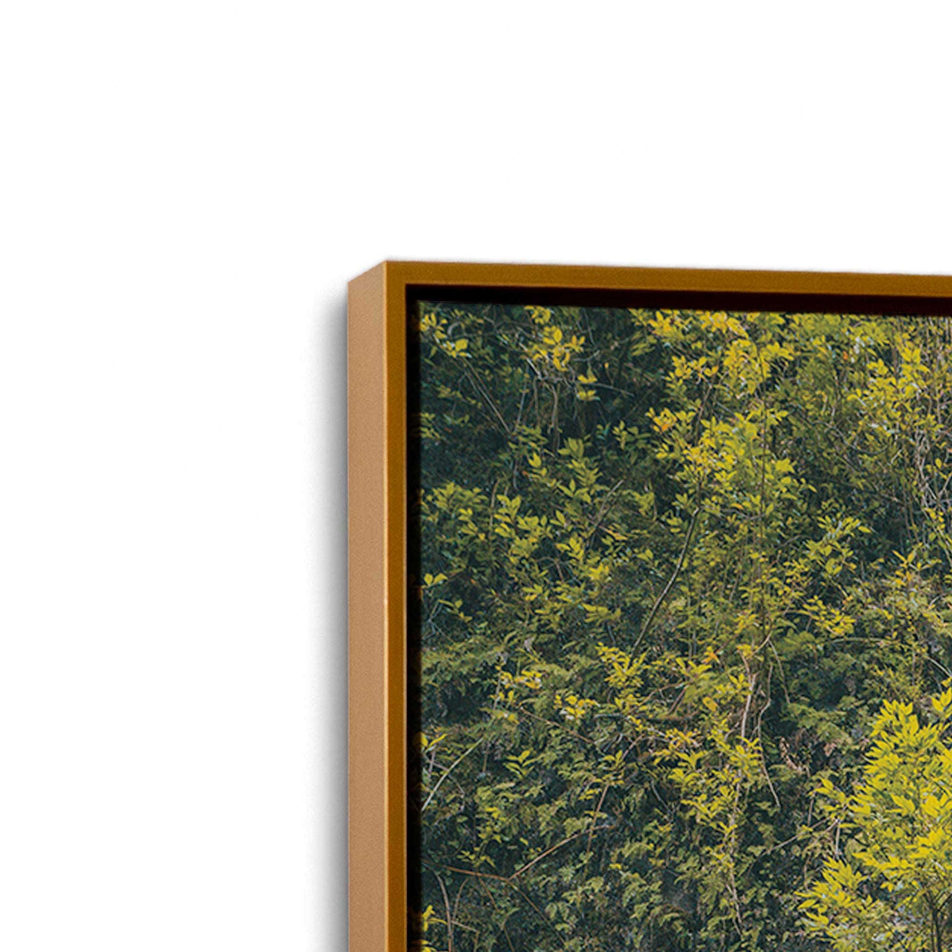 [Color:Polished Gold], Picture of art in a Polished Gold frame at an angle