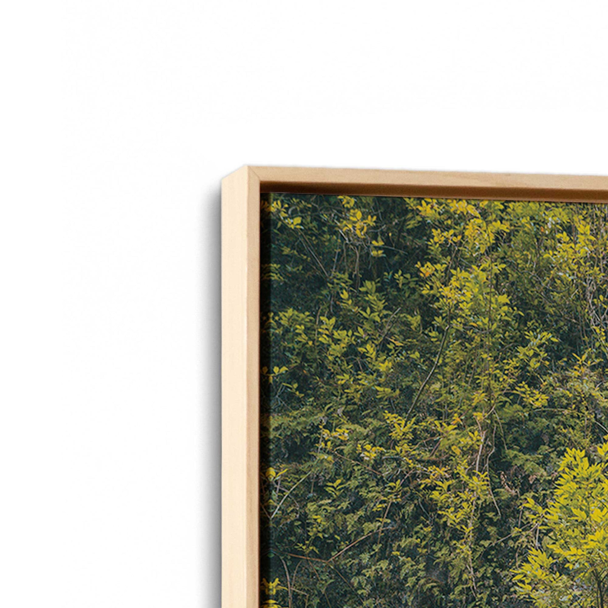 [Color:American Maple], Picture of art in a American Maple frame at an angle
