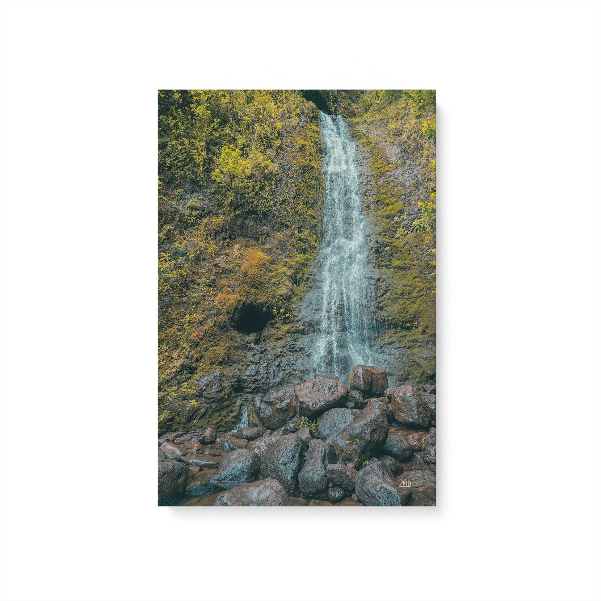[Color:Stretched Canvas], Picture of art