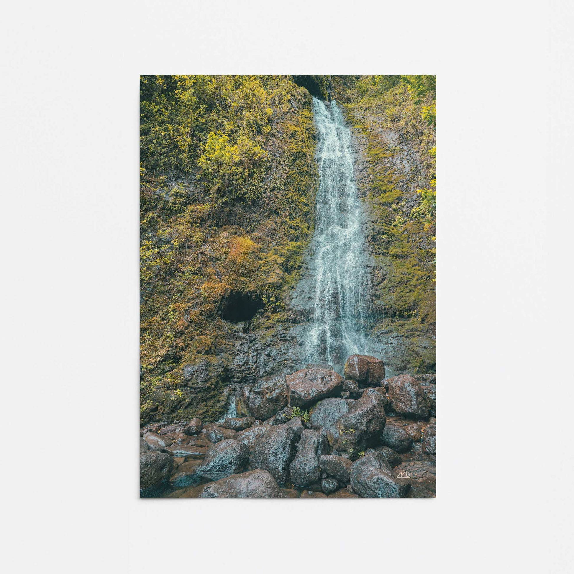 [Color:Rolled Print], Picture of close up of art