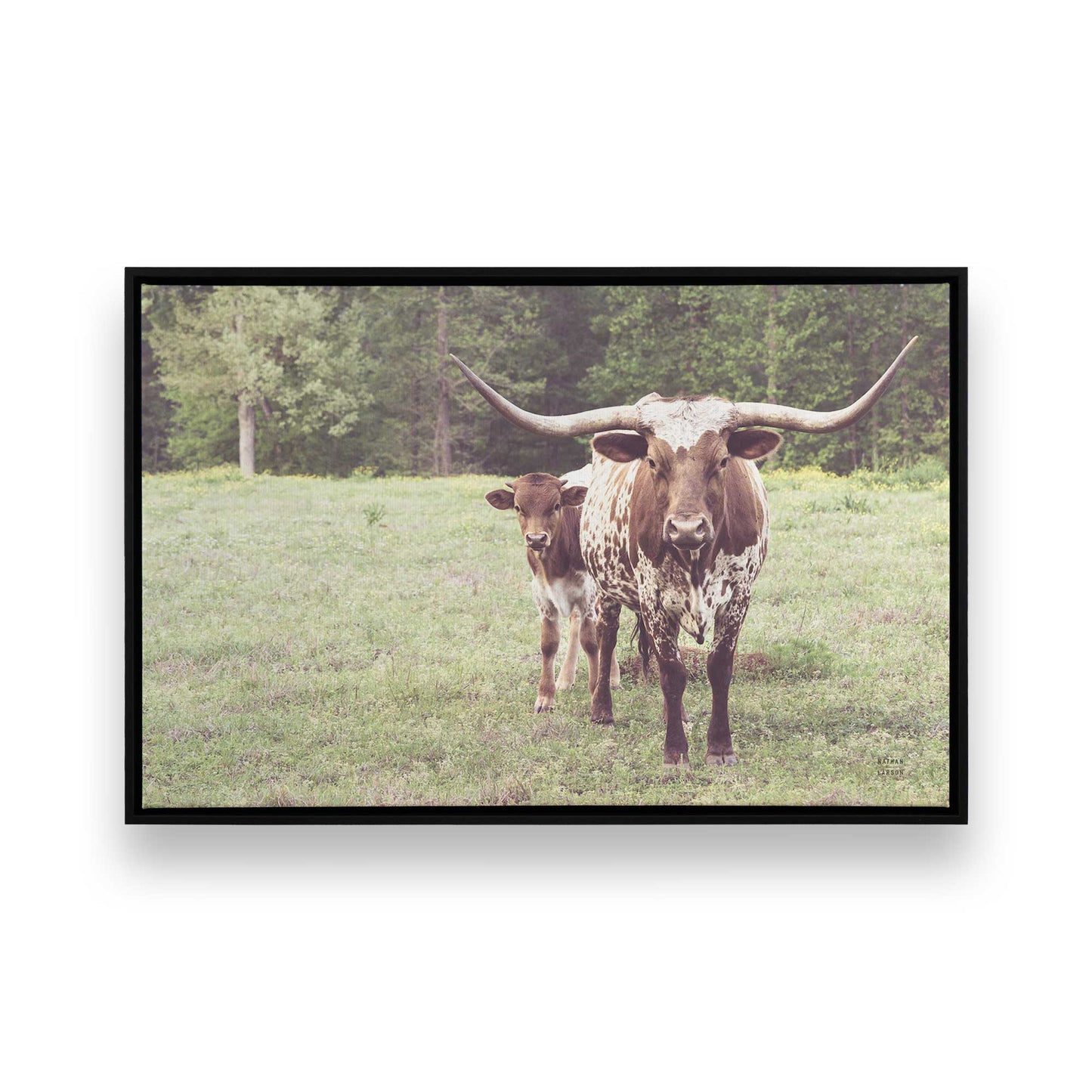 [Color:Satin Black], Picture of art in a Satin Black frame