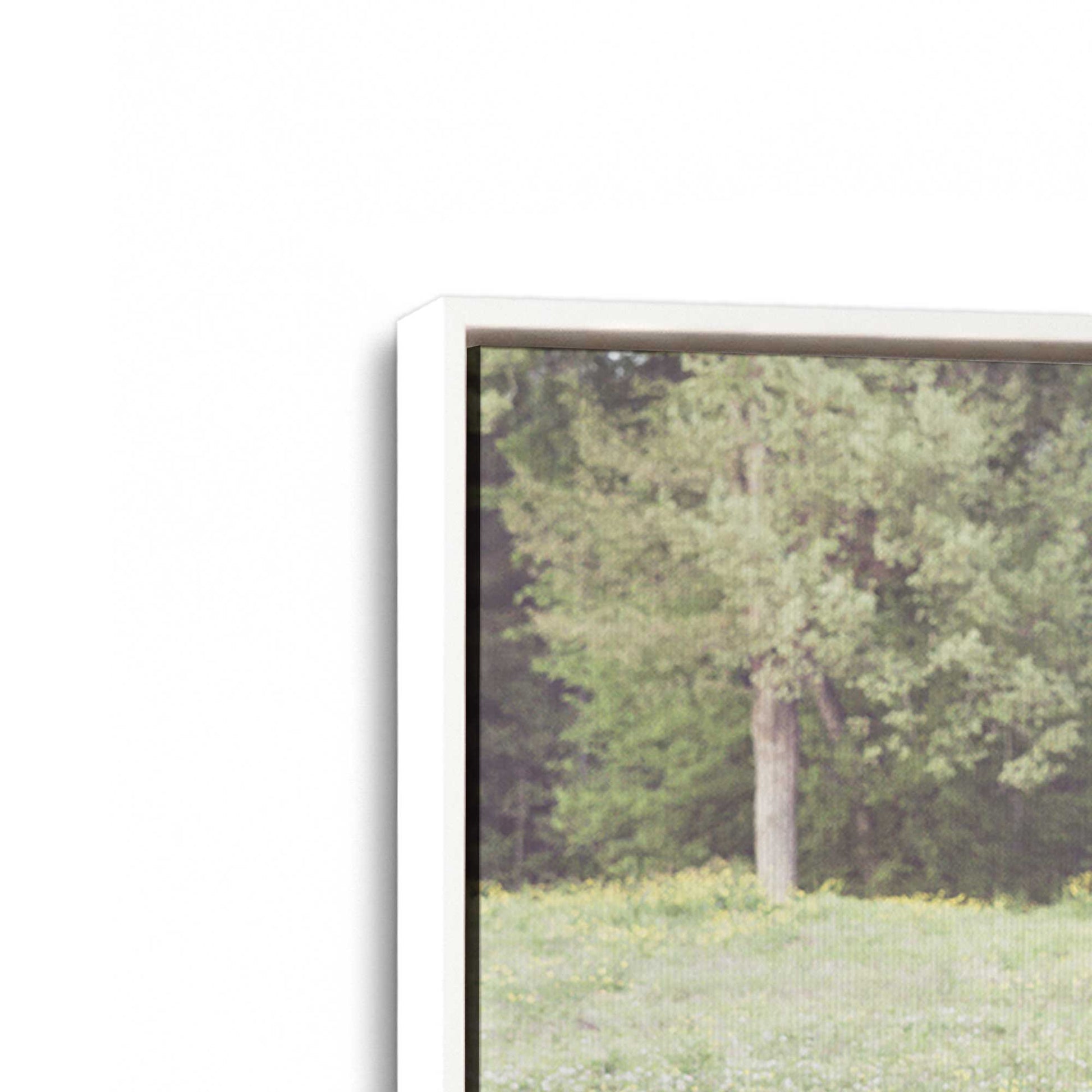 [Color:Opaque White], Picture of art in a White frame at an angle