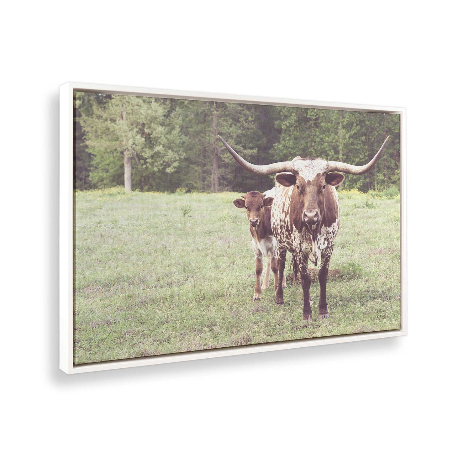 [Color:Opaque White], Picture of the corner of the art