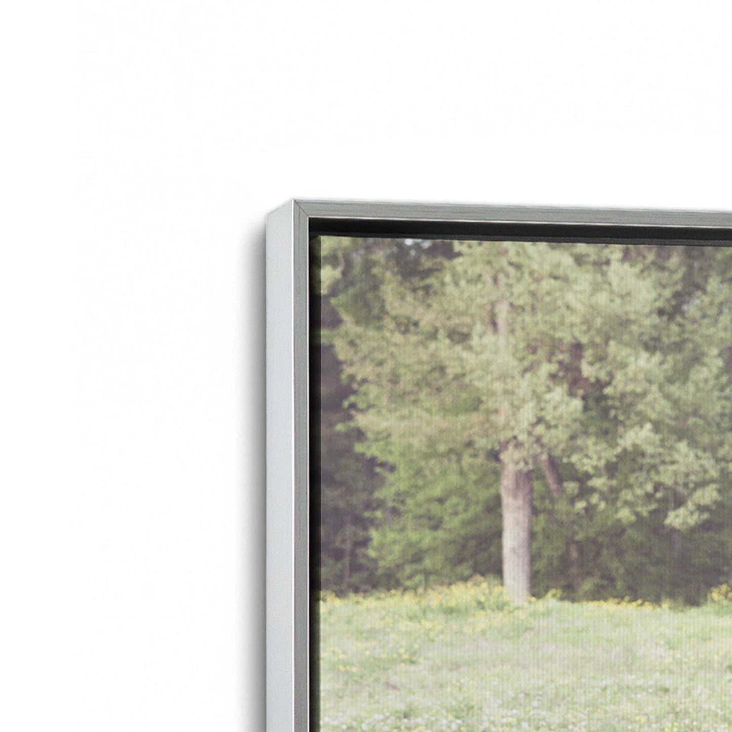 [Color:Polished Chrome], Picture of art in a Polished Chrome frame at an angle