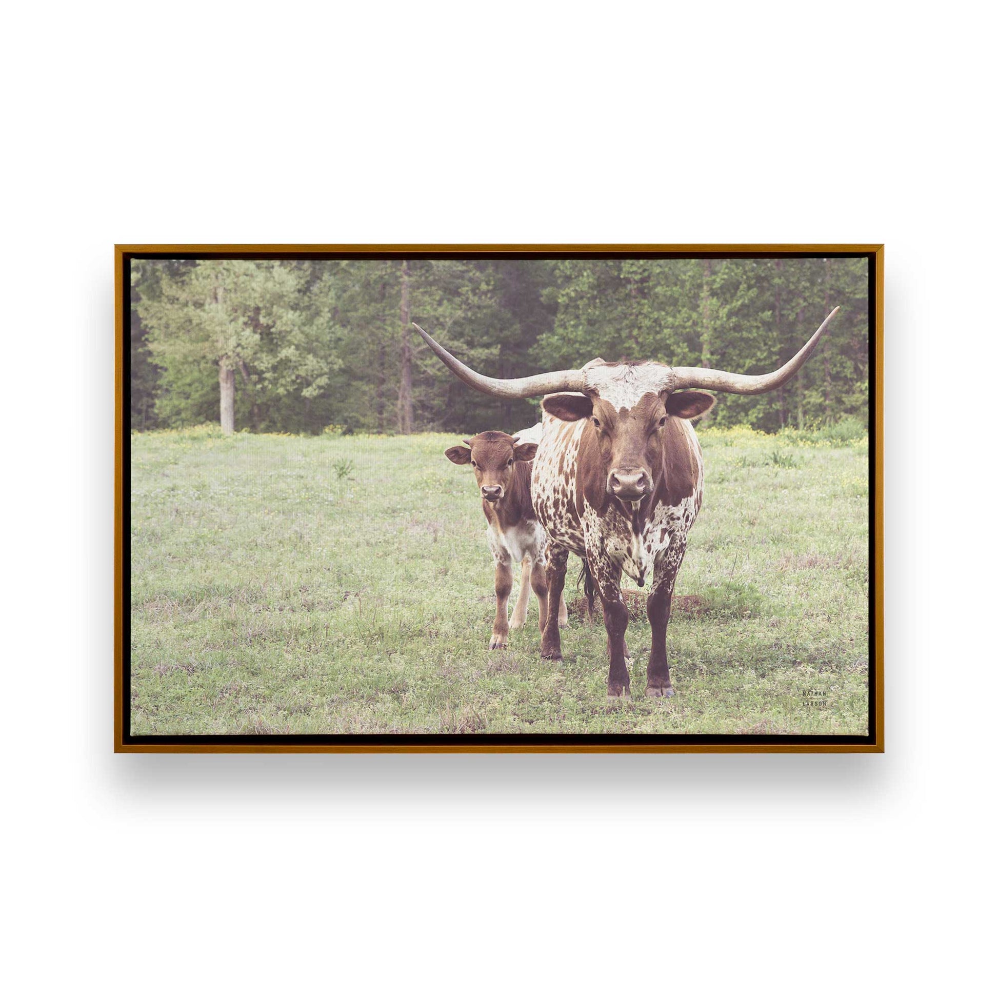 [Color:Polished Gold], Picture of art in a Polished Gold frame