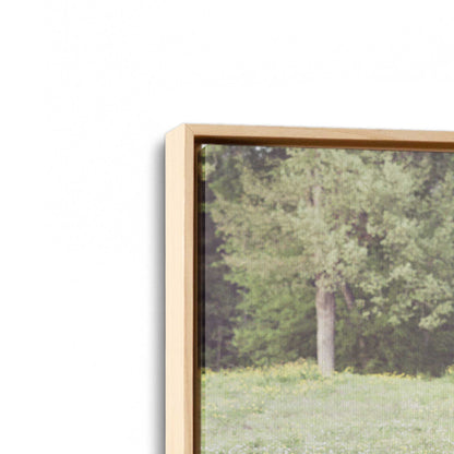 [Color:American Maple], Picture of art in a American Maple frame at an angle
