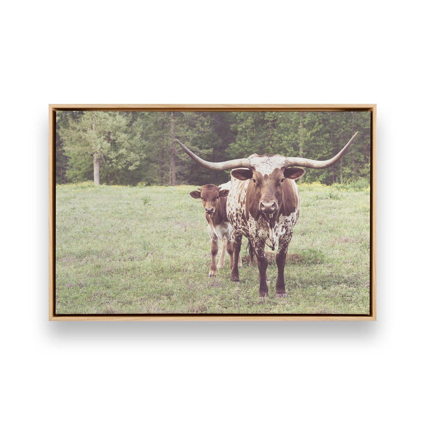 [Color:American Maple], Picture of art in a American Maple frame
