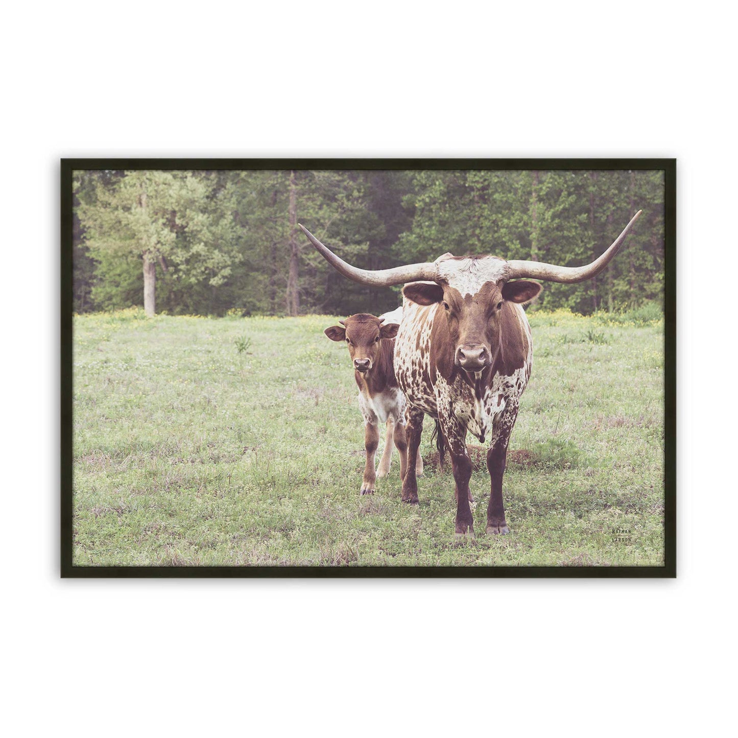 [Color:Satin Black], Picture of art in a Satin Black frame