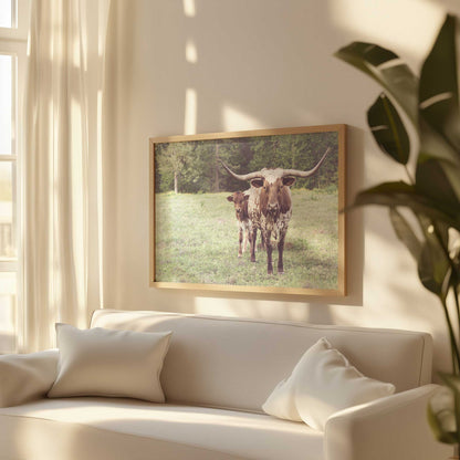 Picture of art in a room