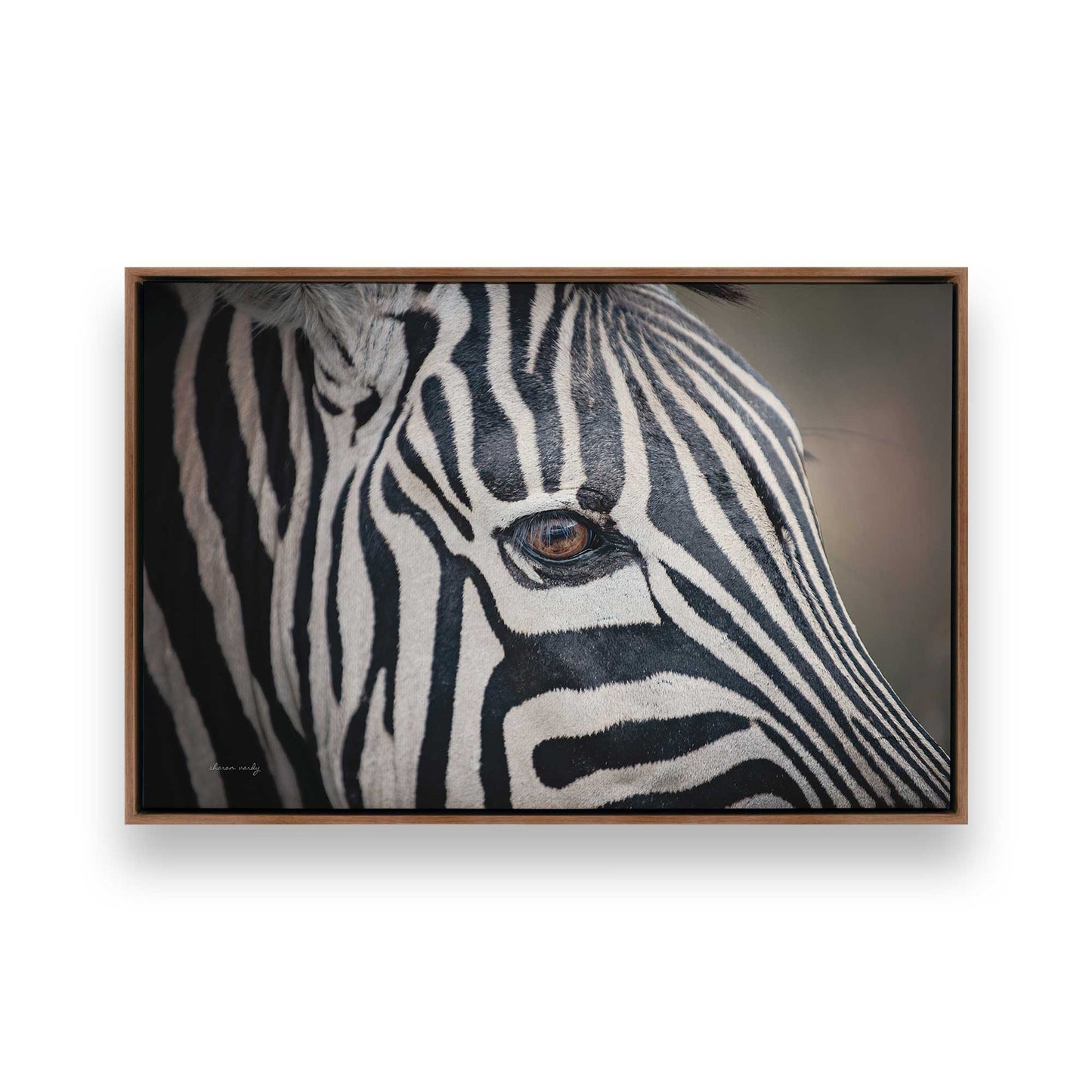 [Color:Walnut], Picture of art in a Walnut frame