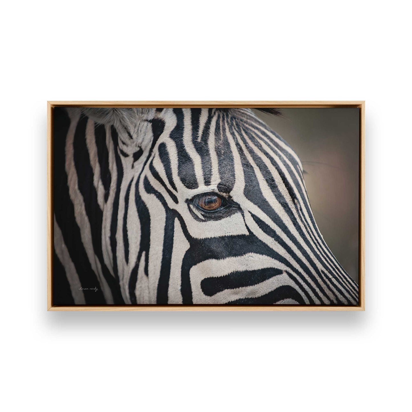 [Color:American Maple], Picture of art in a American Maple frame
