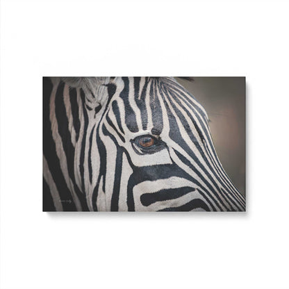 [Color:Stretched Canvas], Picture of art