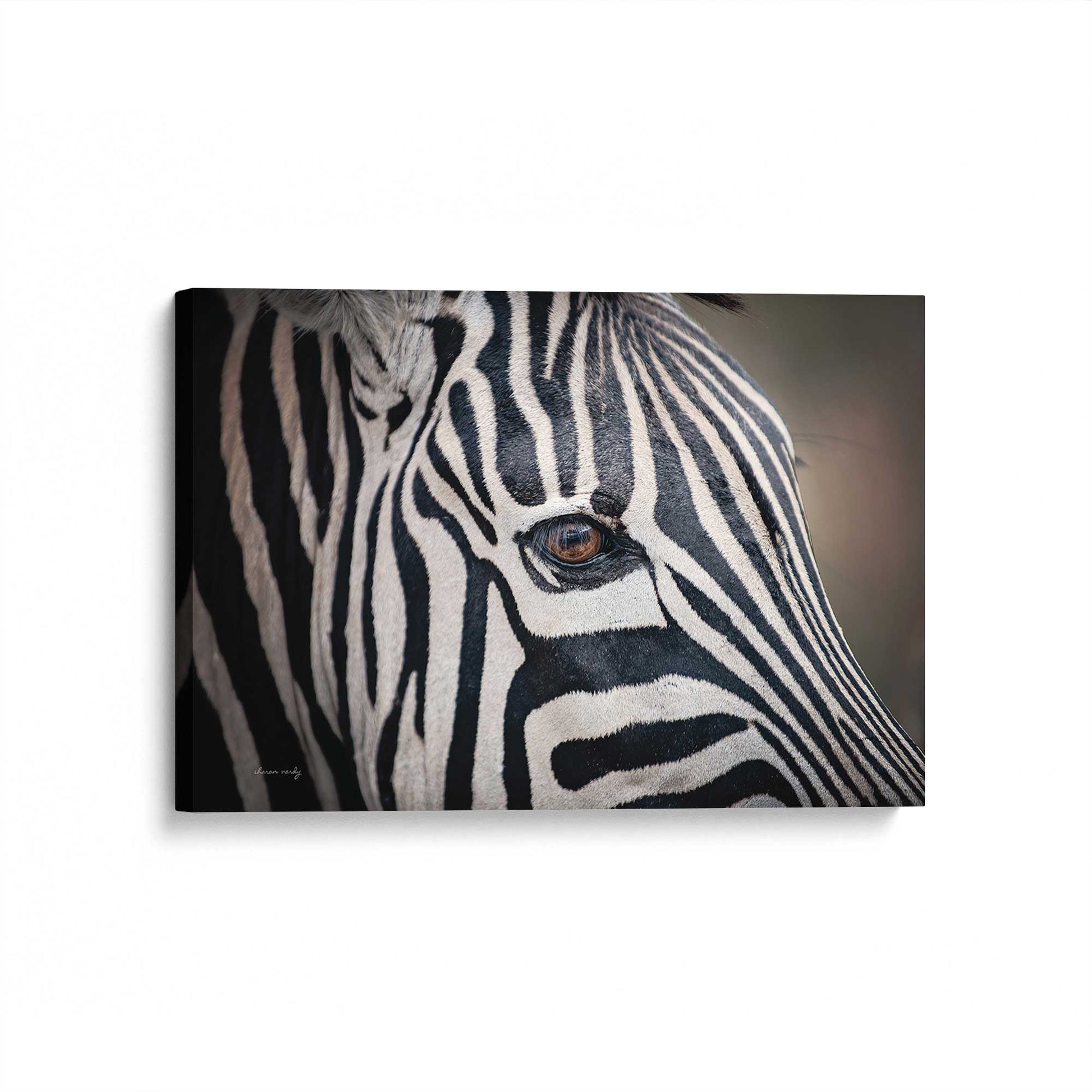 [Color:Stretched Canvas], Picture of art at an angle