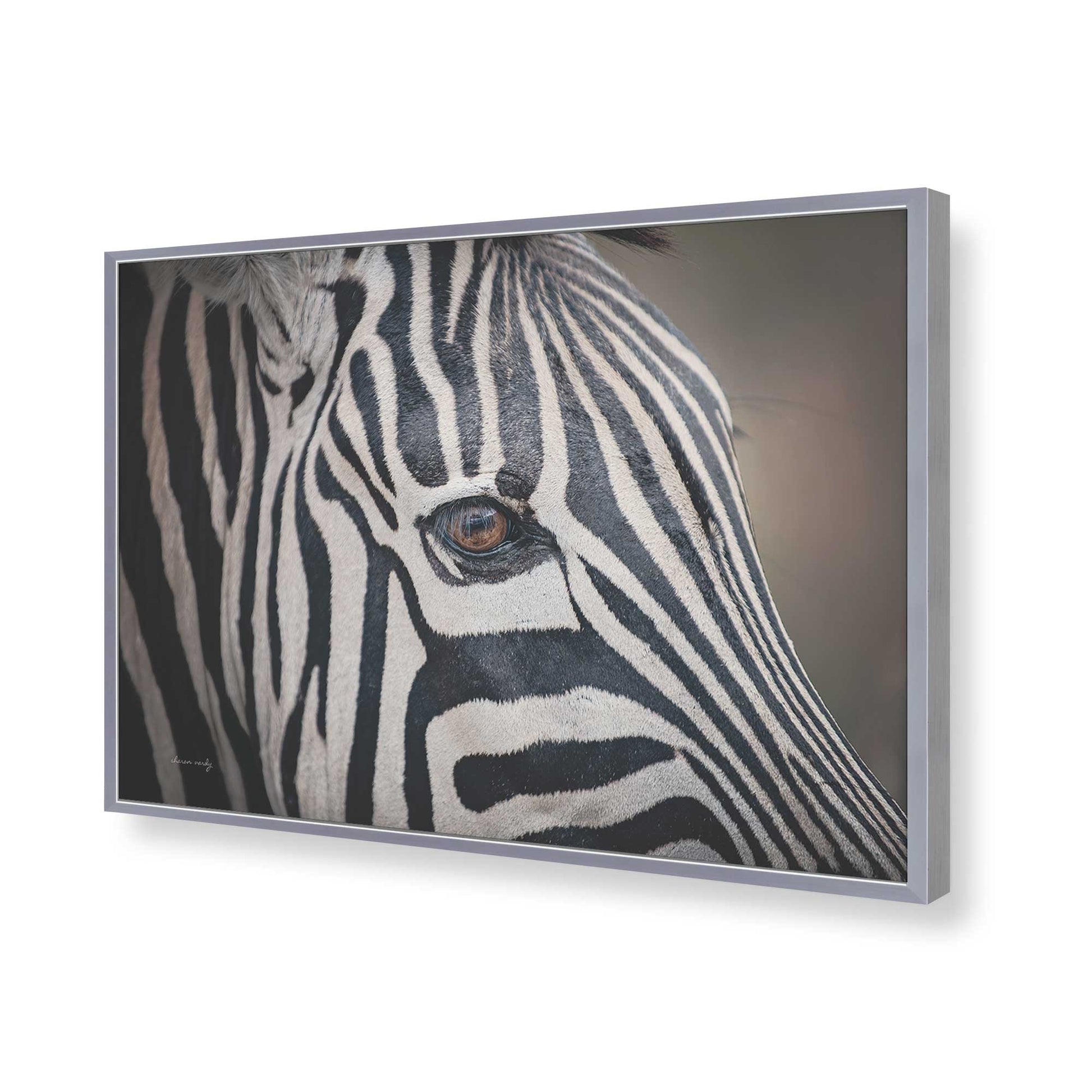 [Color:Polished Chrome], Picture of art in a Polished Chrome frame of the corner