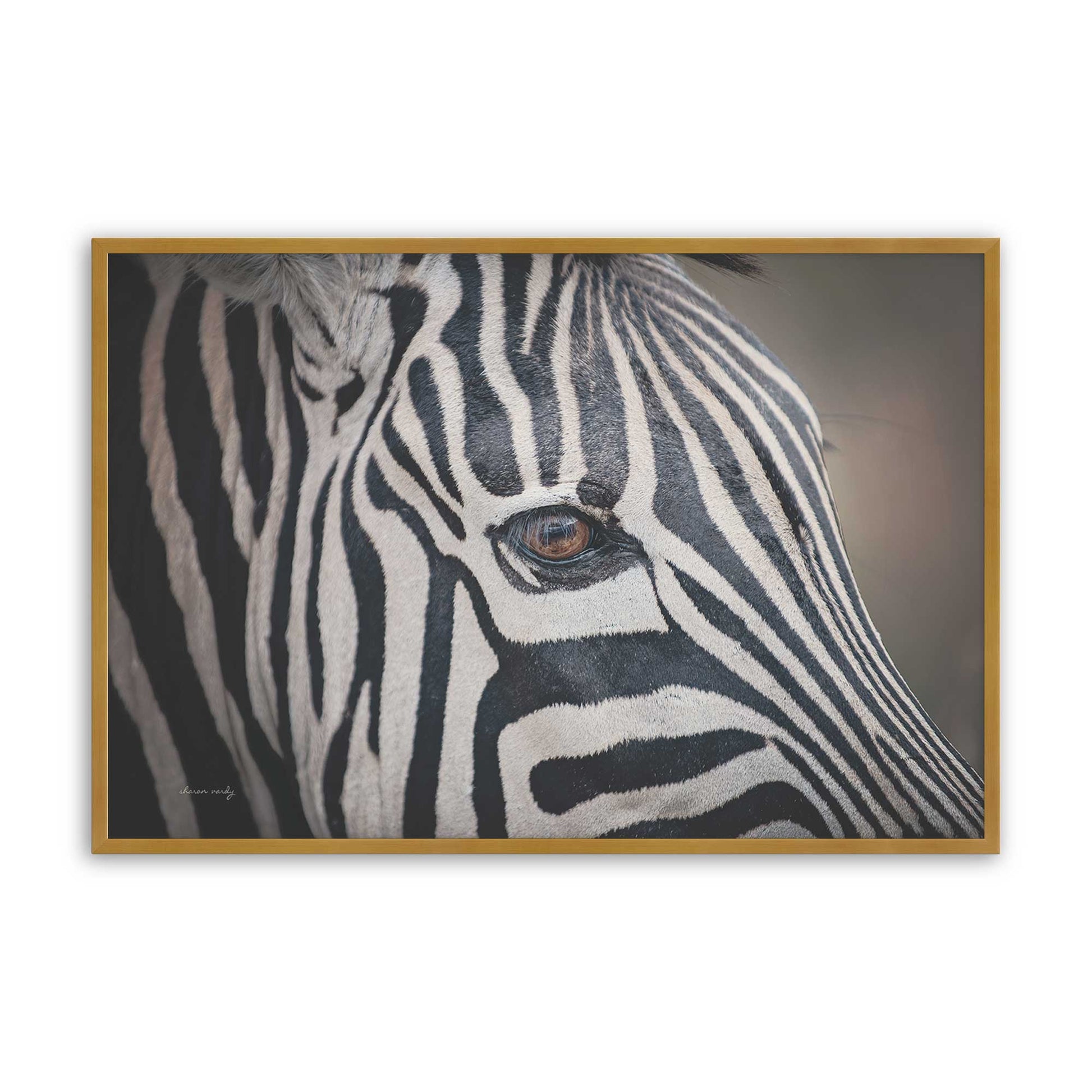 [Color:Polished Gold], Picture of art in a Polished Gold frame
