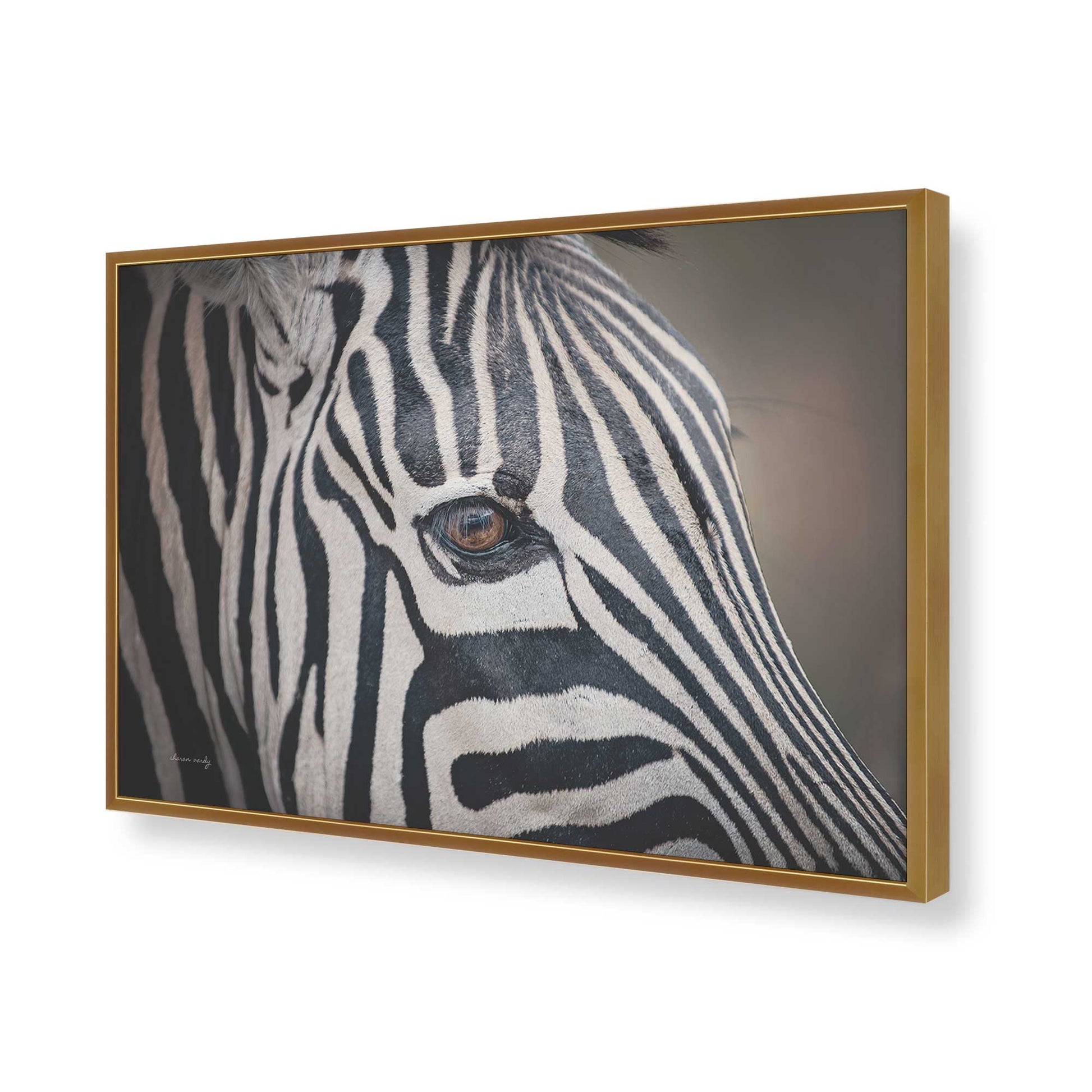 [Color:Polished Gold], Picture of art in a Polished Gold frame of the corner