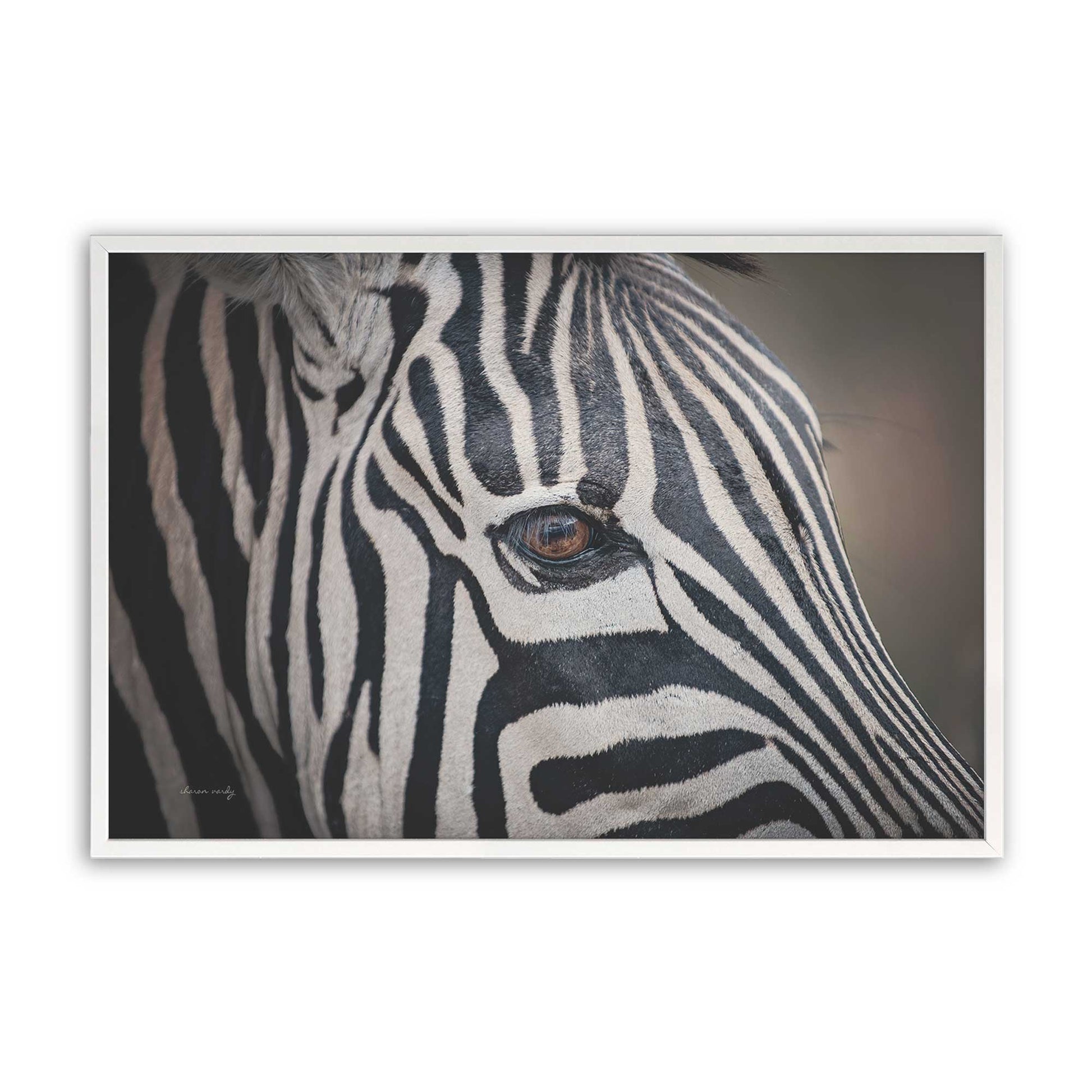 [Color:Opaque White], Picture of art in a Opaque White frame