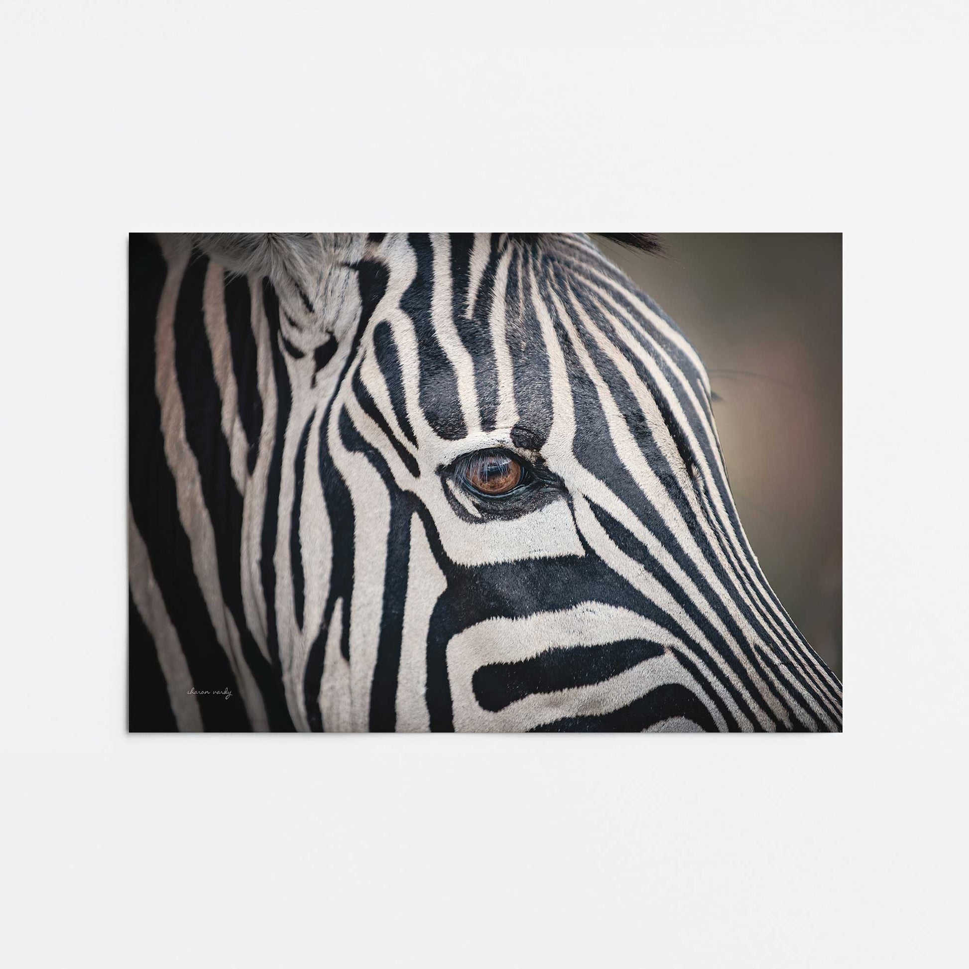 [Color:Rolled Print], Picture of close up of art