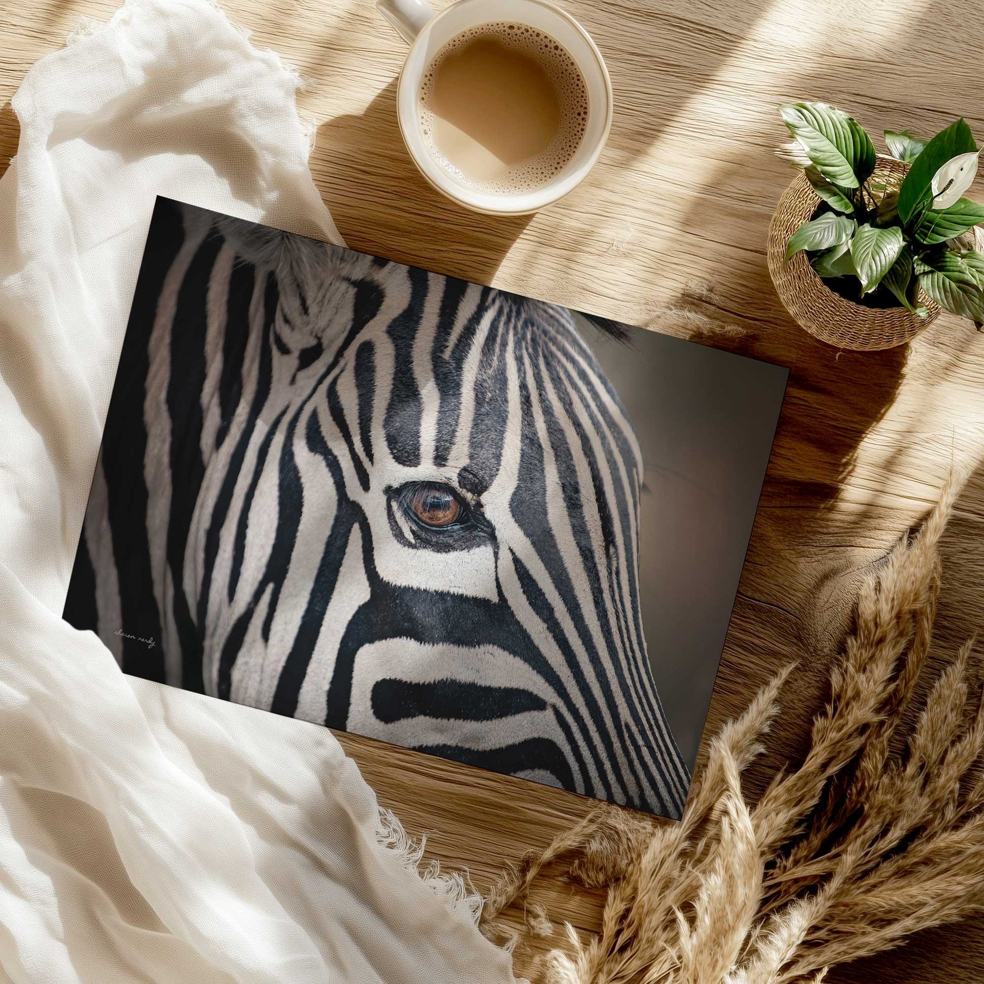 [Color:Rolled Print], Picture of close up of art