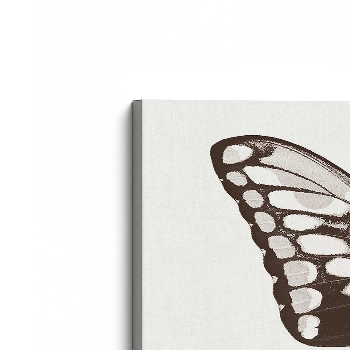 [Color:Stretched Canvas], Picture of the corner of the art