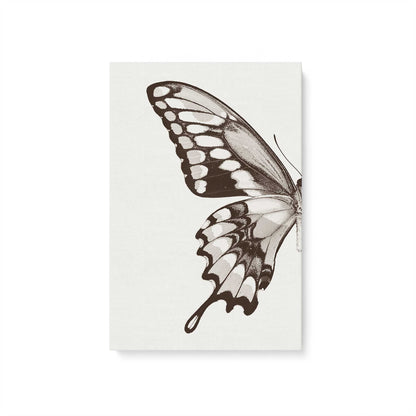 [Color:Stretched Canvas], Picture of art