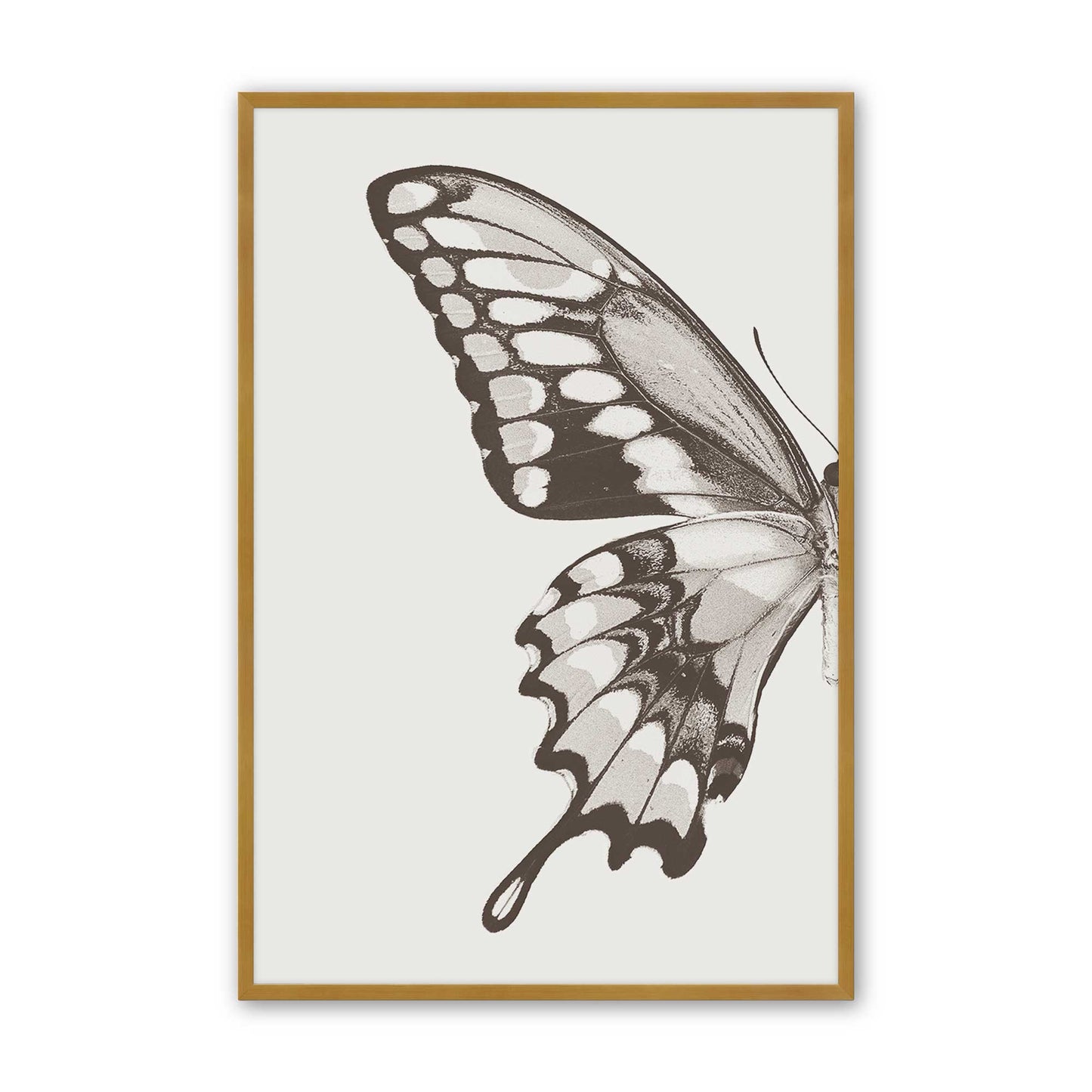 [Color:Polished Gold], Picture of art in a Polished Gold frame