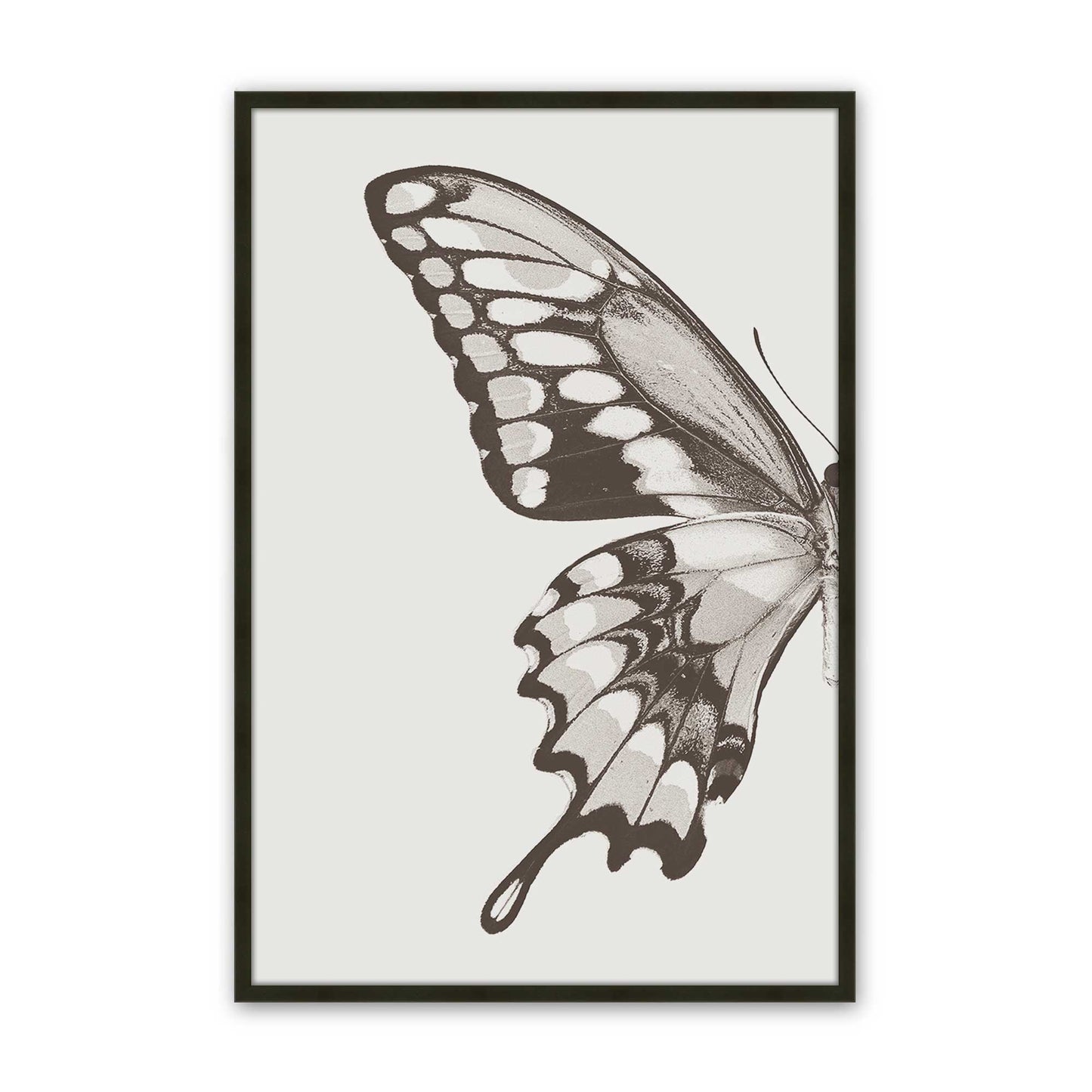 [Color:Satin Black], Picture of art in a Satin Black frame