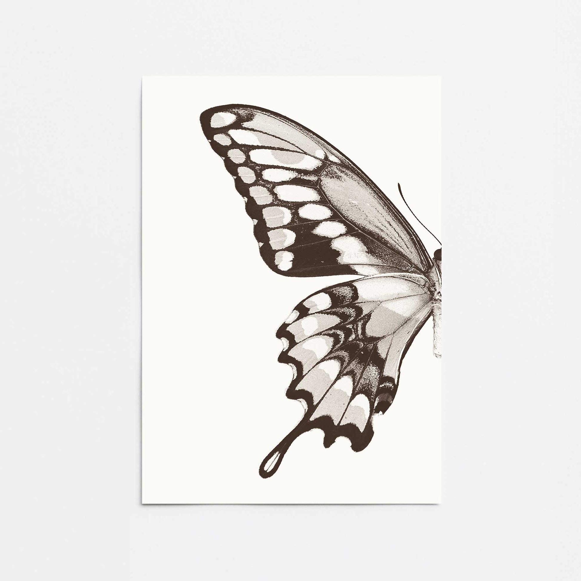 [Color:Rolled Print], Picture of close up of art