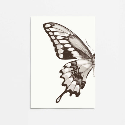 [Color:Rolled Print], Picture of close up of art