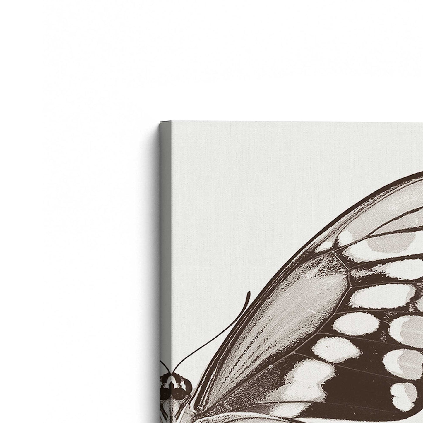 [Color:Stretched Canvas], Picture of the corner of the art