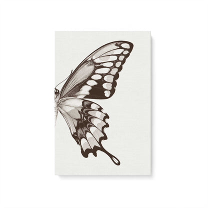 [Color:Stretched Canvas], Picture of art