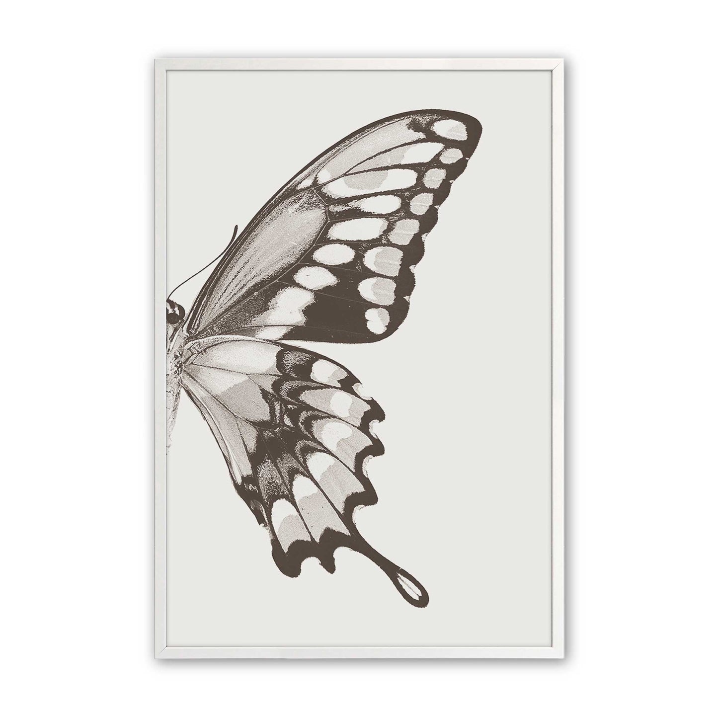 [Color:Opaque White], Picture of art in a Opaque White frame